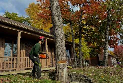 Joey Pouliot, propriétaire de Turcotte Service d’Arbres, qui abat un arbre.