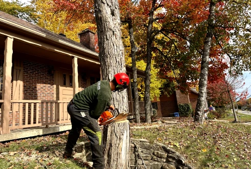 Joey Pouliot, propriétaire de Turcotte Service d’Arbres, qui abat un arbre.