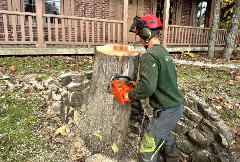 Joey Pouliot, propriétaire de Turcotte Service d’Arbres, qui coupe une souche d’arbre.