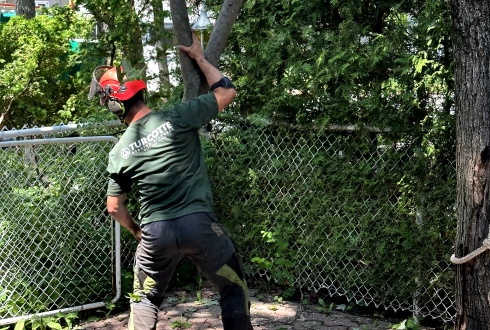 Joey Pouliot, propriétaire de Turcotte Service d’Arbres, qui déplace un arbre.