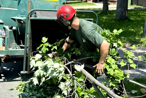 Joey Pouliot, propriétaire de Turcotte Service d’Arbres, qui déchiquette des branches.