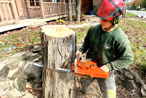 Joey Pouliot, propriétaire de Turcotte Service d’Arbres, qui coupe une souche d’arbre.