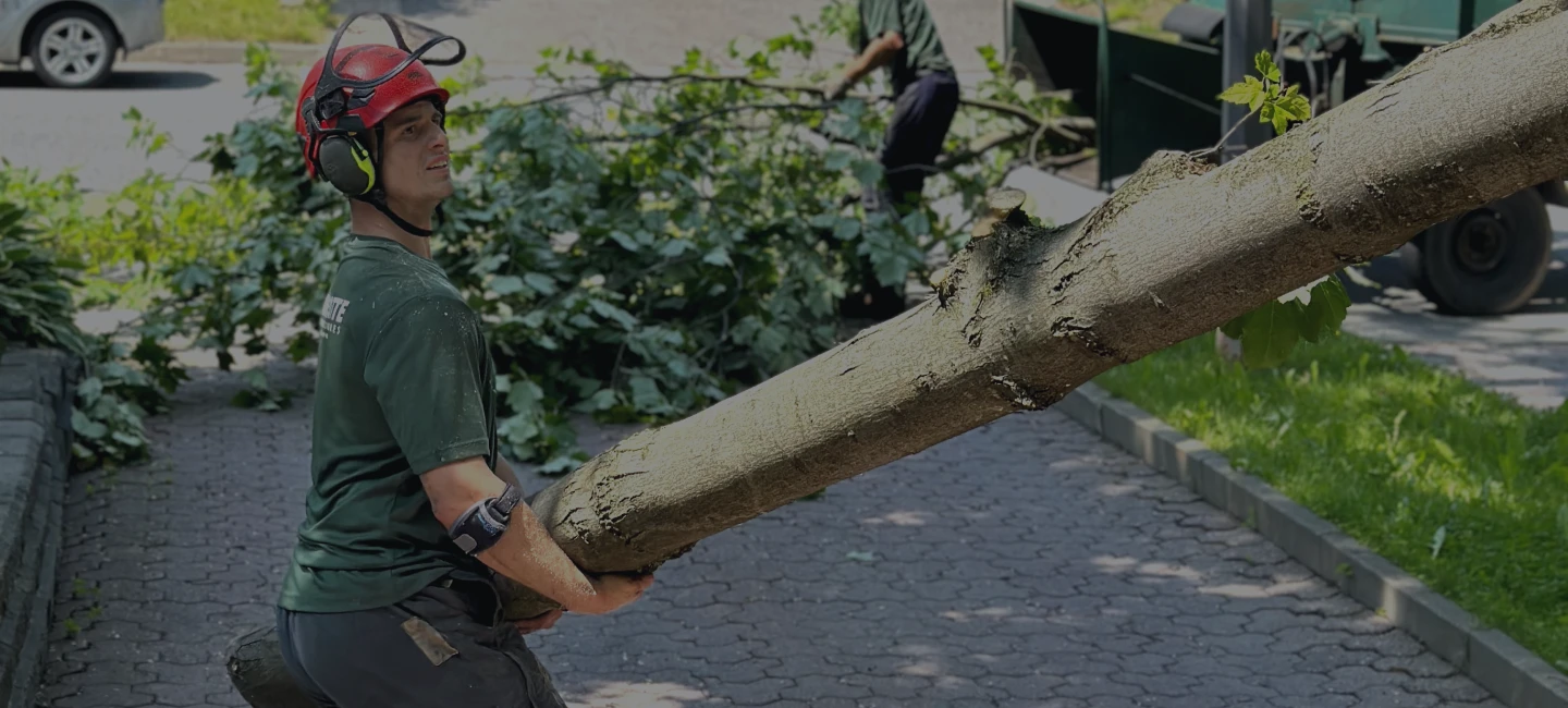 Joey Pouliot, propriétaire de Turcotte Service d&apos;Arbres, qui récupère un tronc d’arbre.