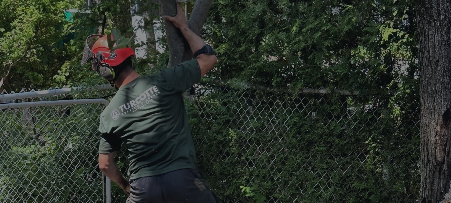 Joey Pouliot, propriétaire de Turcotte Service d’Arbres, qui transporte un arbre.