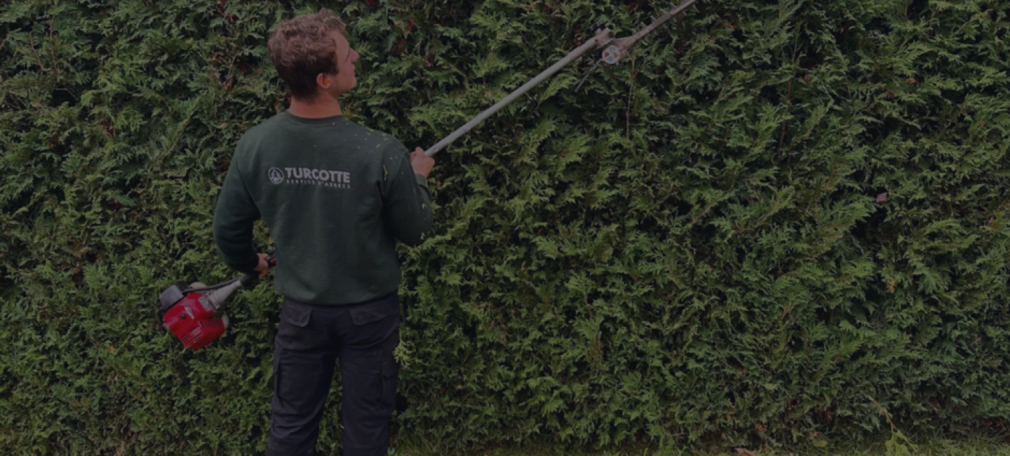 Joey Pouliot, propriétaire de Turcotte Service d’Arbres, qui taille une haie.